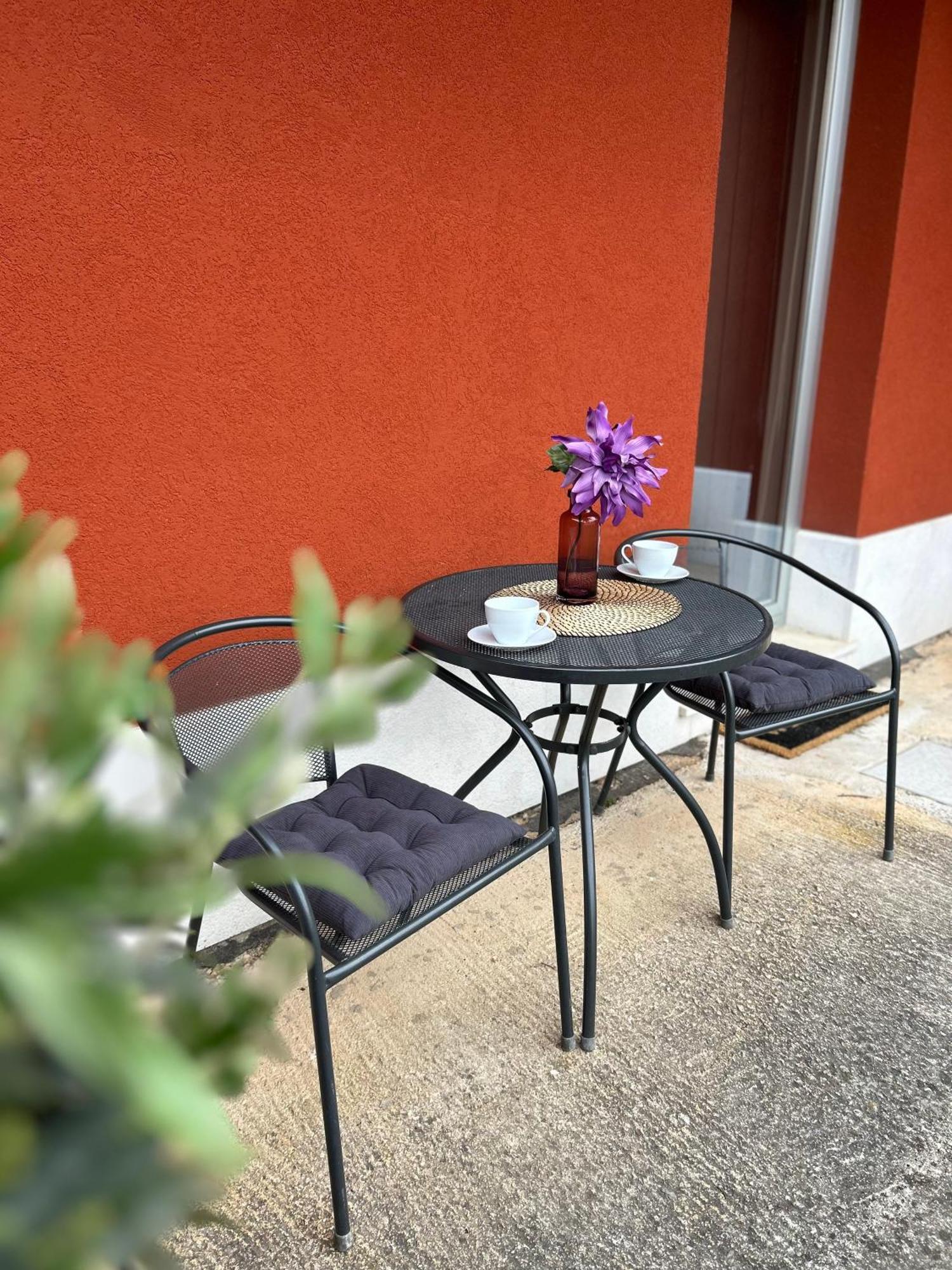 Ivni Apartmani Novigrad  Exterior photo